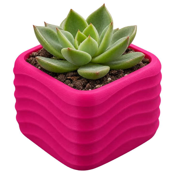 Cachepô para suculentas impresso em 3D (imagem ilustrativa)